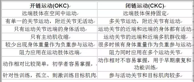 悬吊康复系统3.jpg