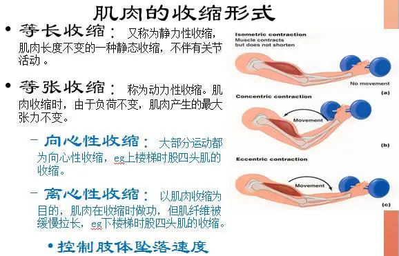 悬吊康复系统.jpg