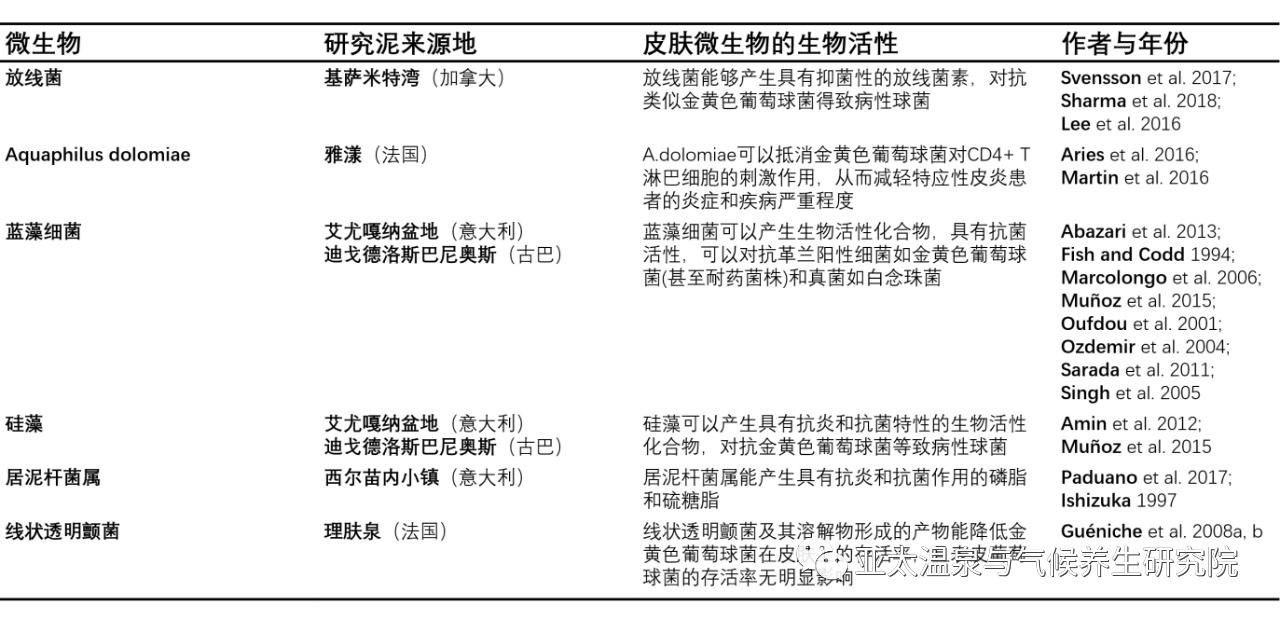 智能矿物泥疗制备系统4.png